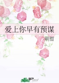 她电影完整版在线观看