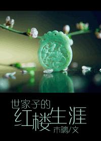可以看见别人的隐私软件