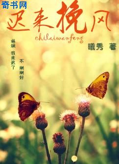 菲儿好听25首歌
