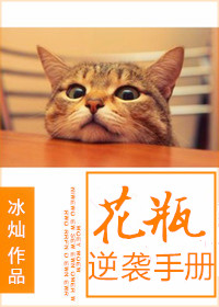 6080无敌马