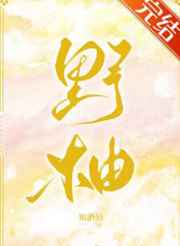 红楼之成为贾敏逝去的天空