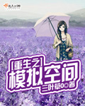 与子乱怀孕完本长篇小说