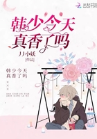 三邦车视频电影网