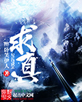 梅花瓶2