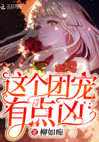 你给我的喜欢免费看