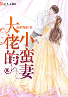 关于唯一能让笨蛋4集
