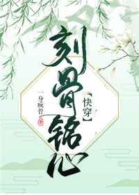 胖熊网站