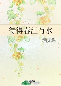 处破女处破全过程小说