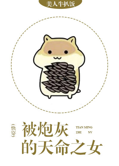 小磁力pro