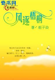 瓢虫雷迪全集