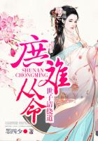 婆婆来了电视剧全集完整版