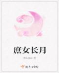 美女的机机
