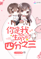 暑假我和小莹姐txt