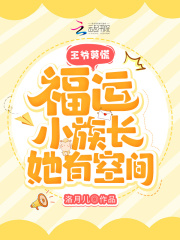 男插女软件