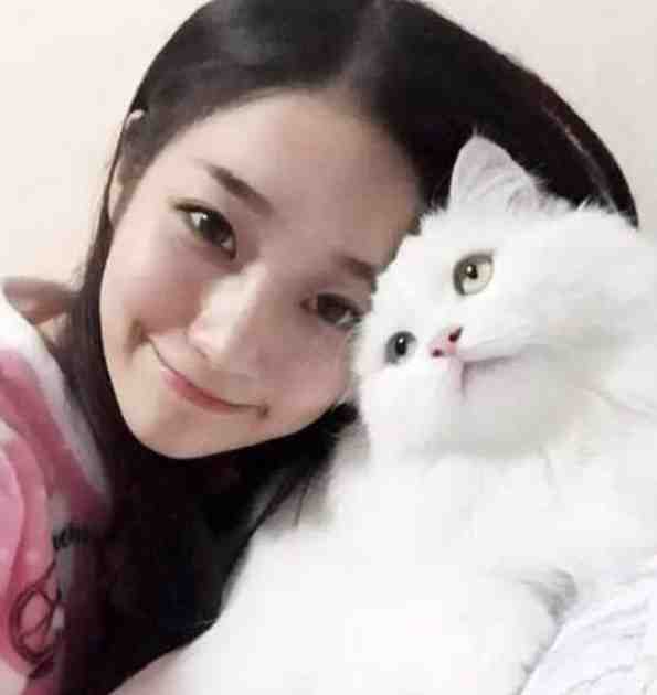 老乞丐玷污美女校花莹莹