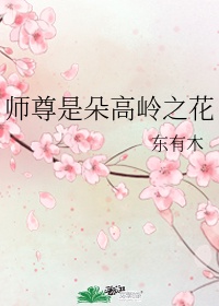 污啪小说免费全文阅读