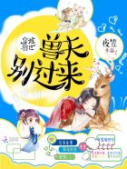 招财宝