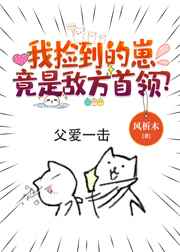 东方卫视在线回看回放