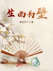 夜导航