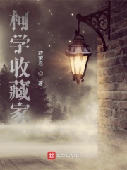 一代枭雄之三支旗粤语