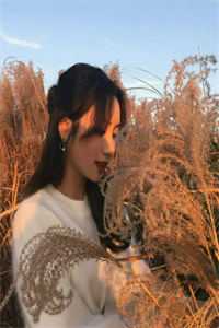 四房播播在线电影