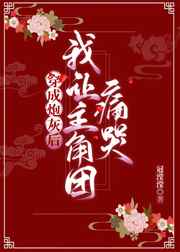 皮城执法官视频