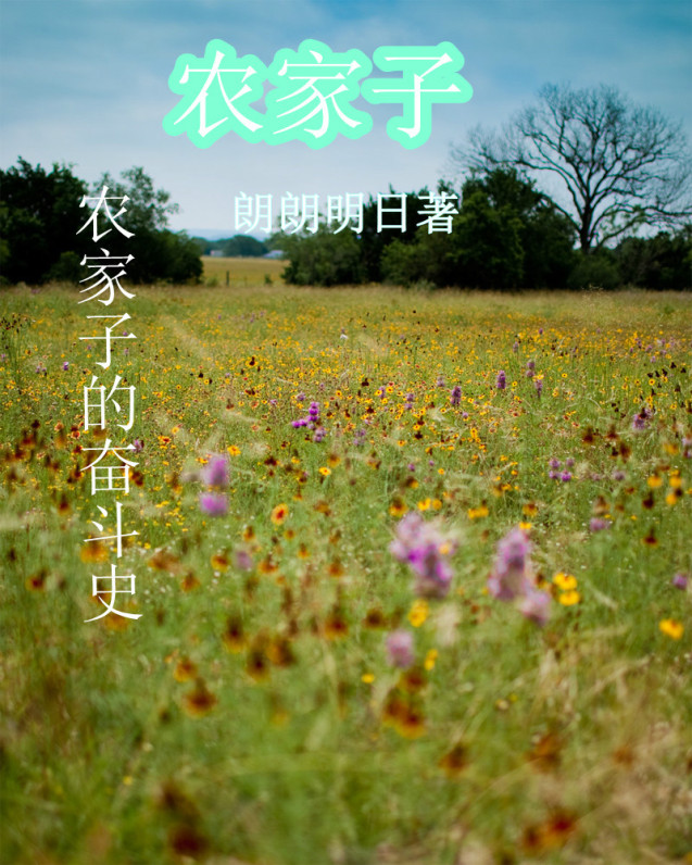 一天可以看25次的蘑菇视频