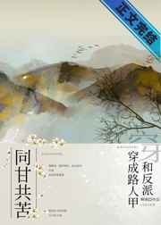 性开放小镇np
