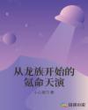 穿越之明朝武宗