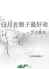 亚梦几斗同人h