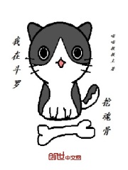 色釉釉