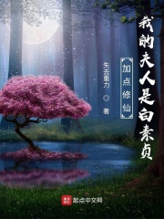 手机直接播放的网址