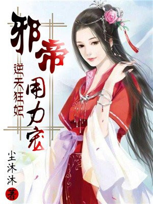 石家庄狗磊4V20视频监控