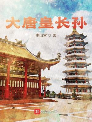 柳州莫菁第五部极品
