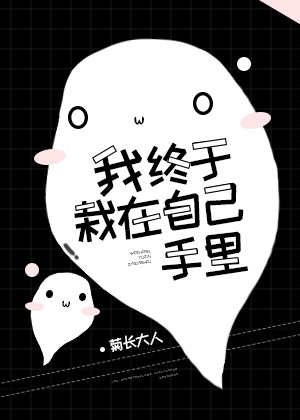 老司机带带我看免费精彩视频