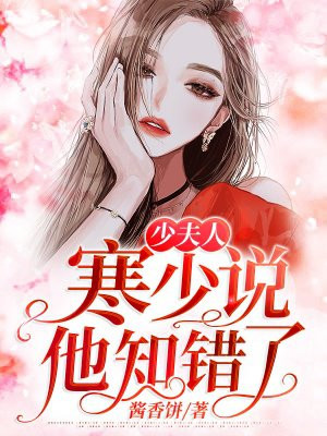 龙腾小说蓝天航空公司