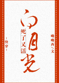 荷兰伦理电影