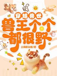 沈佳慧