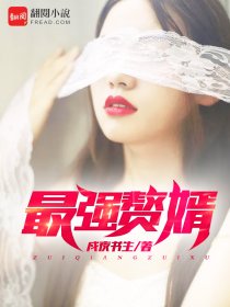 局长夫人的菊花丁美琼