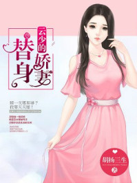 陪你到世界之巅洛天