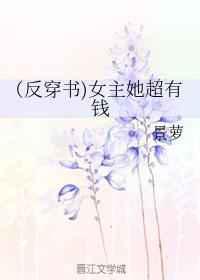 妙警贼探第一季