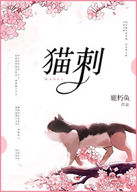 林岚秦小雅