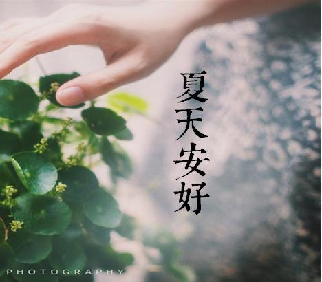 对魔忍2在线观看