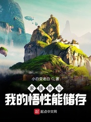 杨思敏版金瓶梅