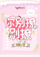 第二书包小说网系列