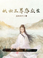 无敌流浪汉4中文版