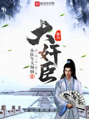 白领情事