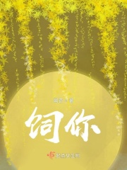 www.13ckck.com