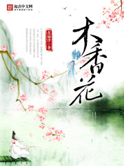 江宝宝厉北爵