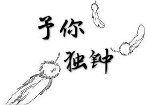 女鲍